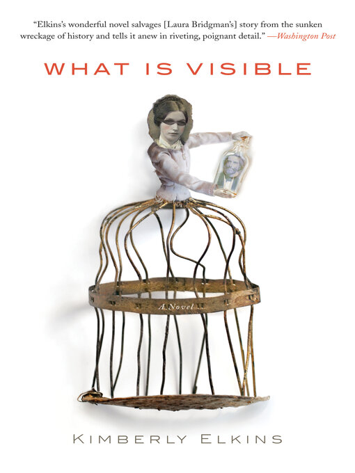 Cover image for What Is Visible